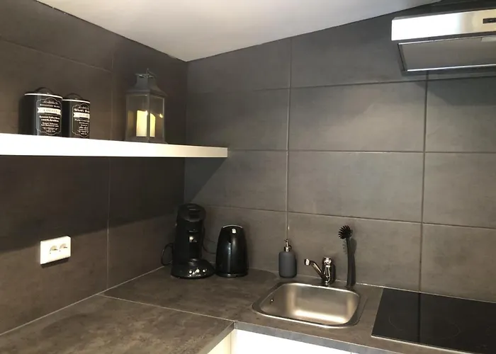 公寓 Haus Onel 施马伦贝格