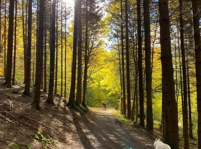 Haus Onel Apartman Schmallenberg