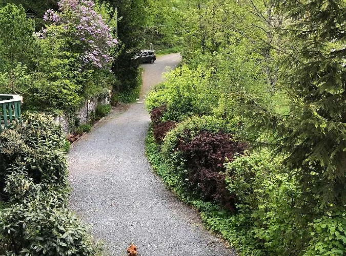 公寓 Haus Onel 施马伦贝格