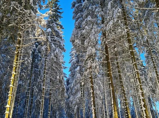 Apartman Haus Onel *